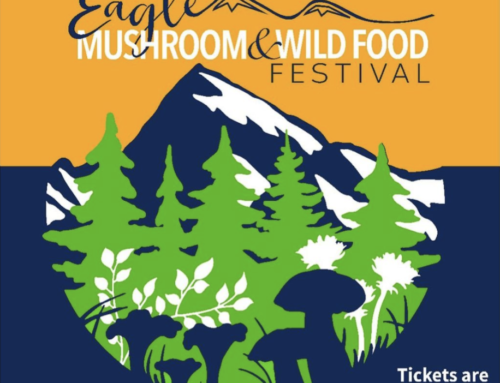Eagle Mushroom & Wild Food Festival August 27 – 29